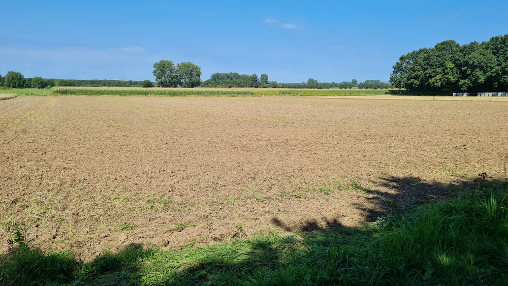 Ein Acker in der Sonne. Ideal zum Sondeln für Einsteiger / Anfänger.